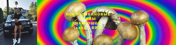 гашиш Вяземский